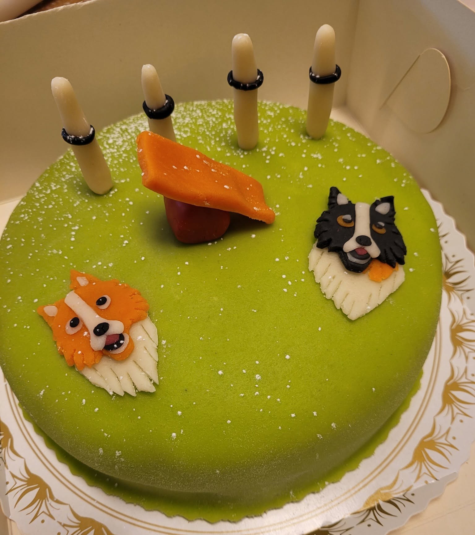 Agility tårta